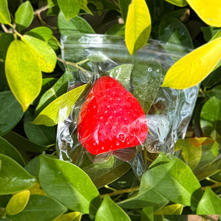 Strawberry Squishy