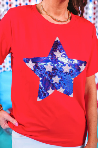 Stars Sequin Top image 1