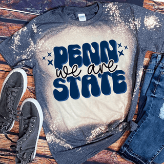 Penn State image 0